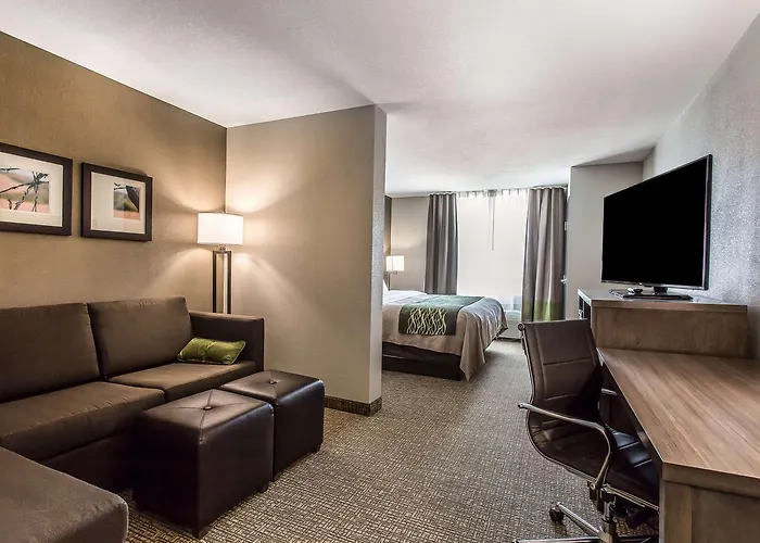 Comfort Inn & Suites Snyder