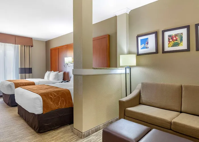 Comfort Suites - University